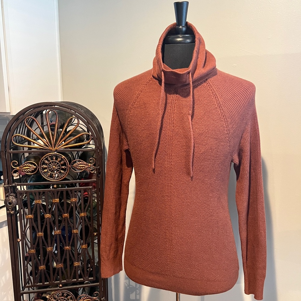 Express Drawstring Turtleneck Sweater